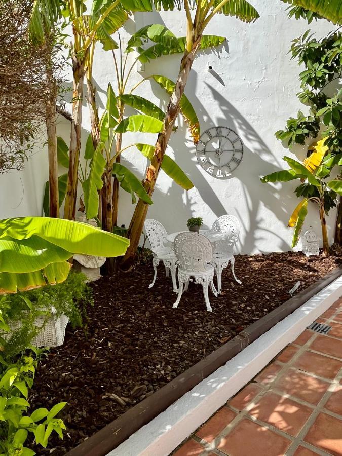 Estudio A 10 Minutos Del Puerto Banus إِستيبونا المظهر الخارجي الصورة